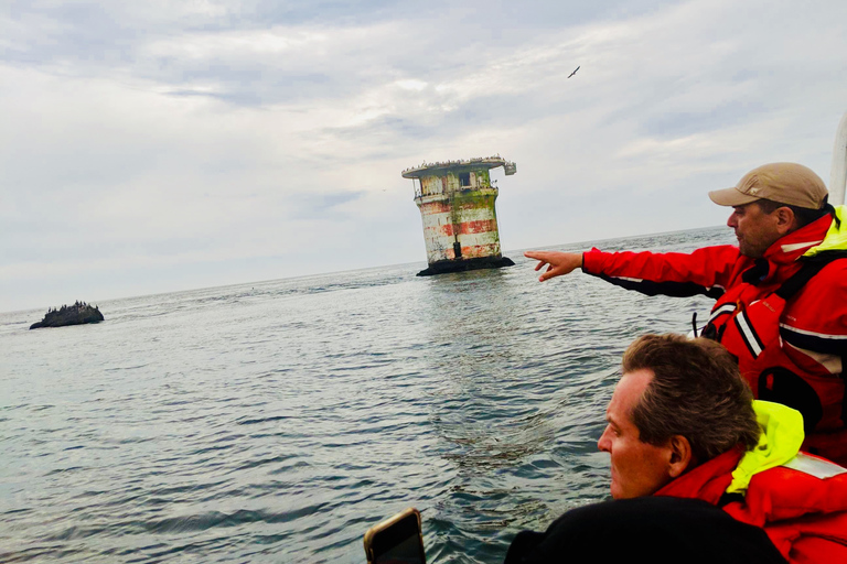 San Francisco Bay: Adventure Boat Tour Public Adventure Boat Tour