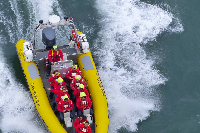 San Francisco Bay: Adventure Boat Tour Public Adventure Boat Tour