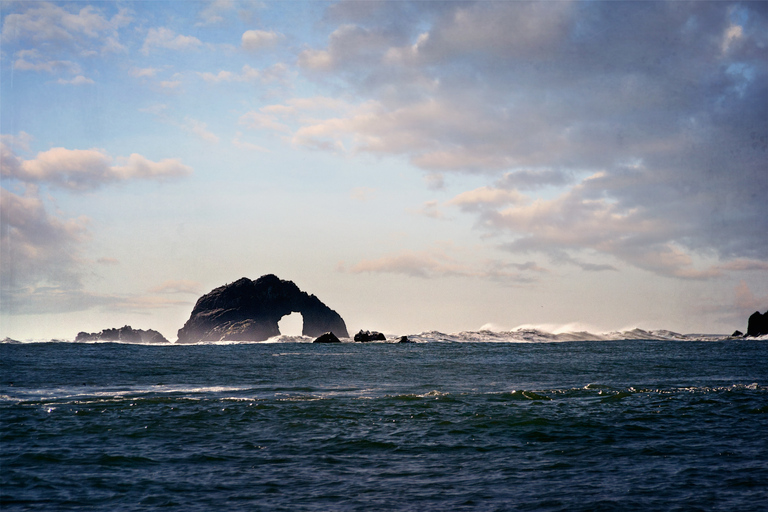 San Francisco Bay: Adventure Boat Tour Public Adventure Boat Tour