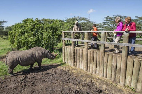 De Nairobi: Excursão de um dia à Ol Pejeta Conservancy