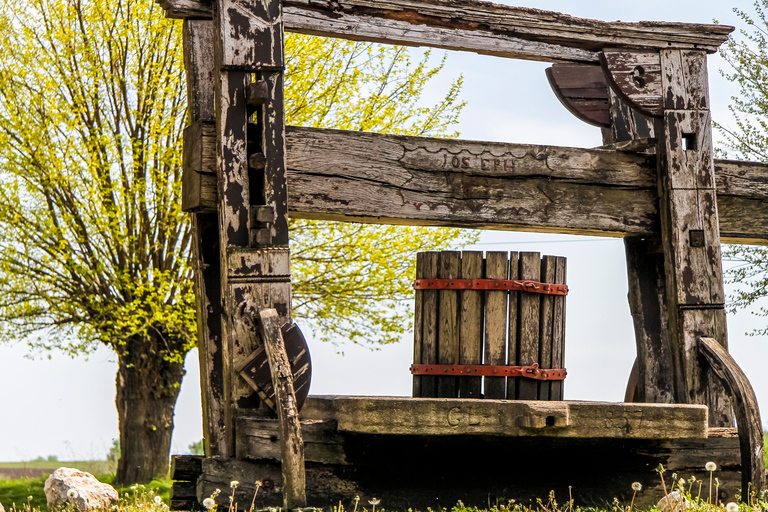 Desde Viena: tour de vino de campo de medio día con comidaTour de vino de medio día por el campo con cena