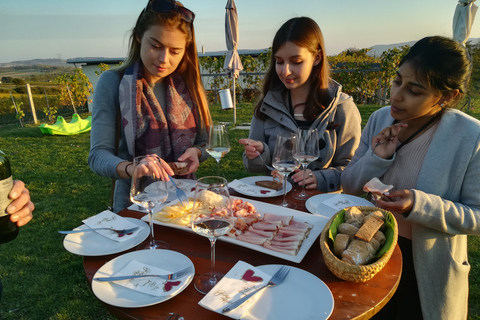 De Viena: excursão de meio dia pelo campo com refeiçãoExcursão de vinho no campo de meio dia com jantar