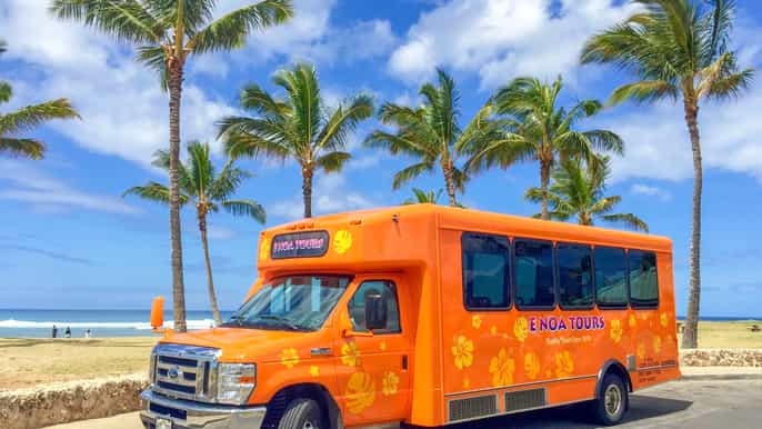 oahu halfday east oahu shoreline tour