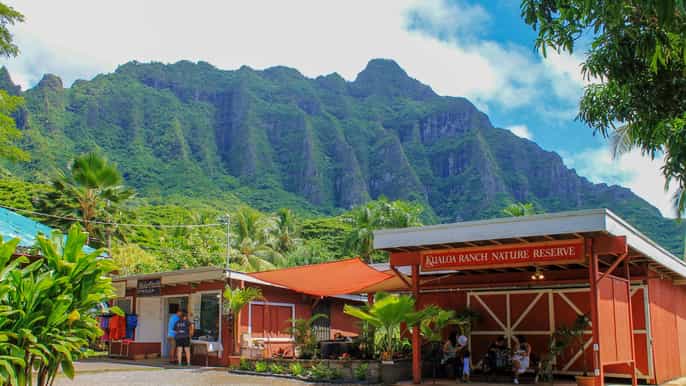 oahu north shore dole plantation island tour