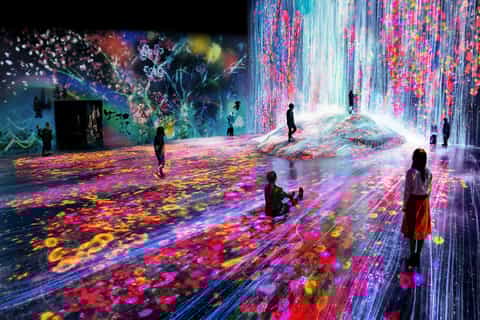 tokyo digital art museum teamlab borderless entry