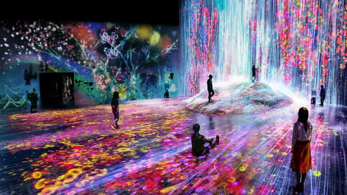 tokyo digital art museum teamlab borderless entry