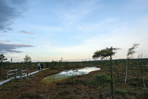 Parque Nacional de Kemeri e passeio à beira-mar Báltico Bog Boardwalk