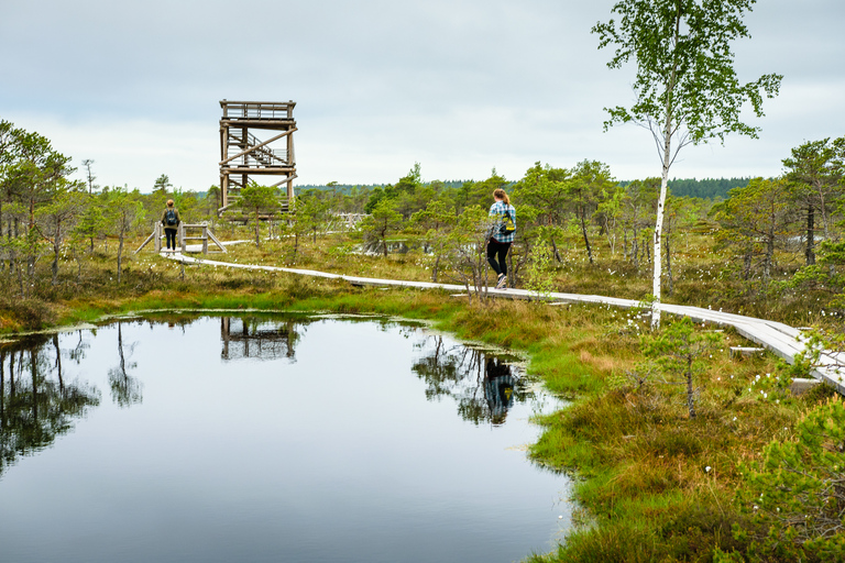 Ab Riga: Nationalpark Ķemeri & Ostseeküsten-Moor-Wanderungen