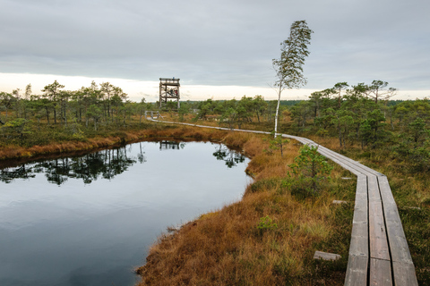 Vanuit Riga: Kemeri National Park, Baltische kust & veen