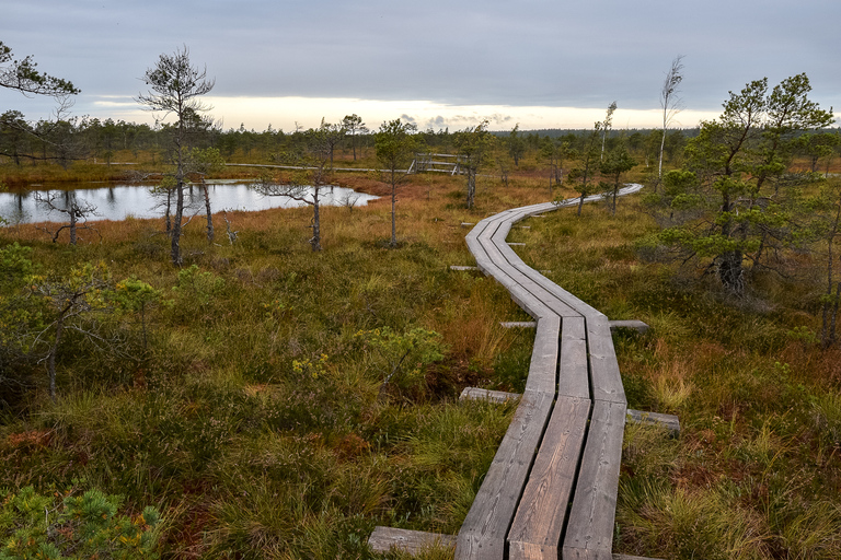 Paseo por el Parque Nacional Kemeri y el Mar Báltico Paseo marítimo de Bog