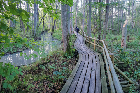 Promenade dans la tourbière du parc national de Kemeri et de la mer Baltique