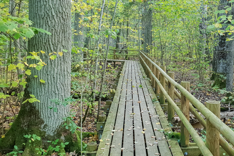 Promenade dans la tourbière du parc national de Kemeri et de la mer Baltique