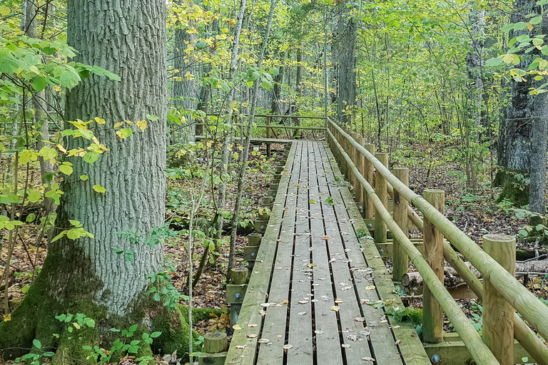 Promenade dans la tourbière du parc national de Kemeri et de la mer Baltique