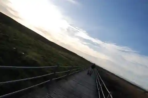 Albufeira : visite en Segway de la réserve naturelle de Salgados