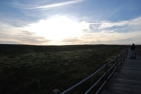 Albufeira, Salgados Nature Reserve Segway Tour - Housity