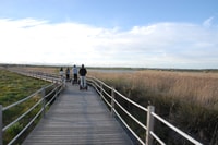 Albufeira, Salgados Nature Reserve Segway Tour - Housity