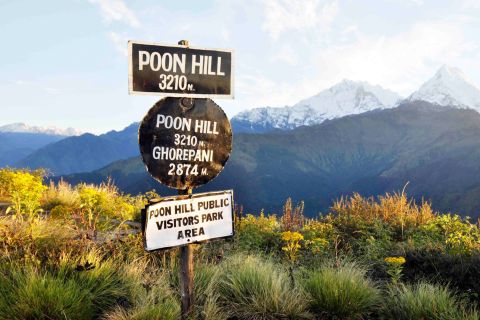 From Kathmandu: Goorepani Poonhill Trekking Trip