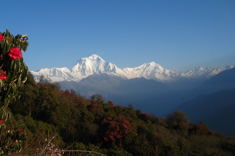 De Katmandou: Trekking Goorepani Poonhill
