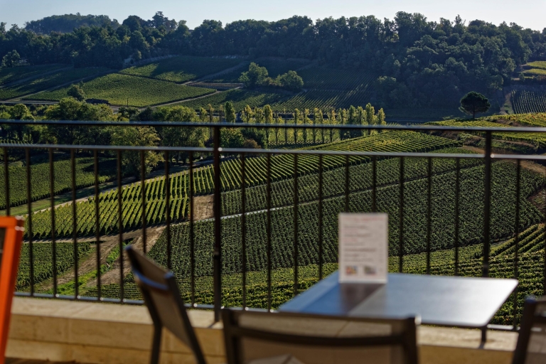 Saint-Emilion: wijn- en spijsproeverij op het terras van het kasteel