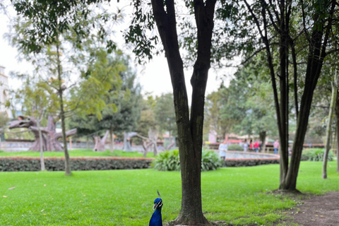 BOGOTA: Tour naar Jaime Duque Park, Dierentuin en Lucht- en Ruimtevaartmuseum