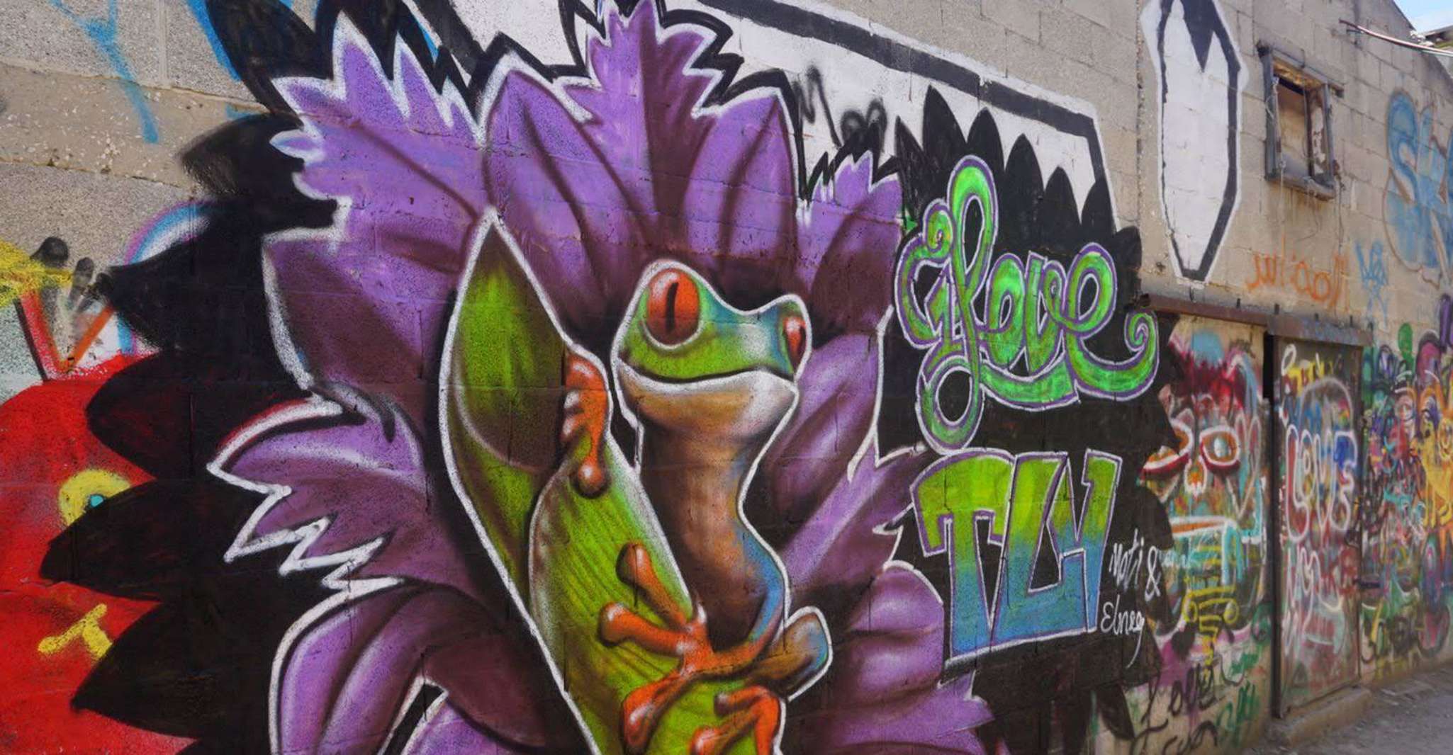 Tel Aviv, Street Art und Graffiti Tour - Hizvo