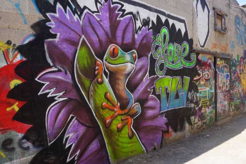 Tel Aviv: Tur med gatukonst och graffiti