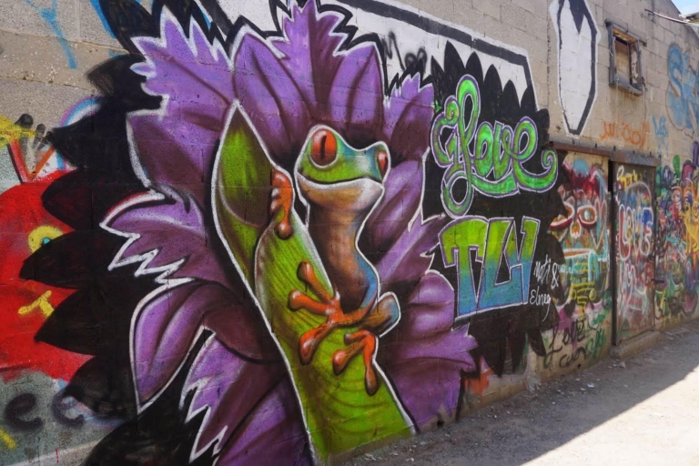 Tel Aviv: Graffiti und Streetart-TourRoute Florentin-Viertel