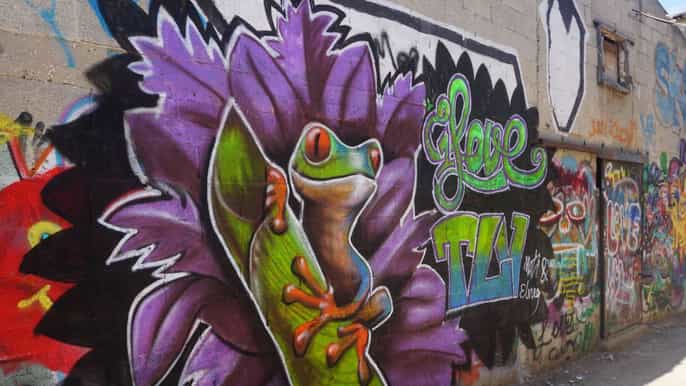tel aviv street art and graffiti tour