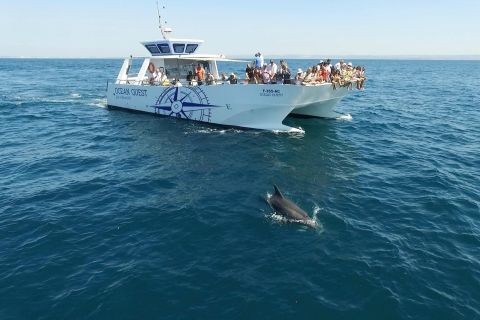 Vilamoura: Boat Tour Dolphin Quest
