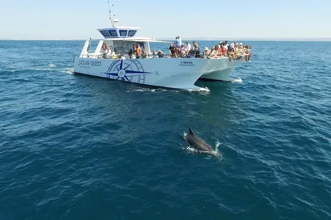 Vilamoura: Passeio de barco Dolphin Quest