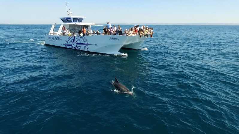 Vilamoura: Boat Tour Dolphin Quest