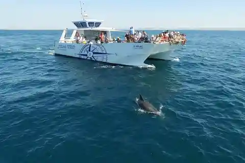 Vilamoura: Boat Tour Dolphin Quest