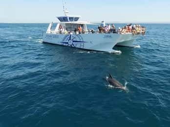 Vilamoura: Boat Tour Dolphin Quest