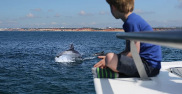 Exclusive Vilamoura: Dolphin Quest & Marine Life Search