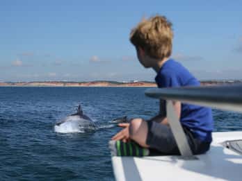 Vilamoura: rejs wycieczkowy Dolphin Quest