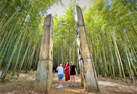 Busan Private Tour Customized Exclusively for Your Group - Housity