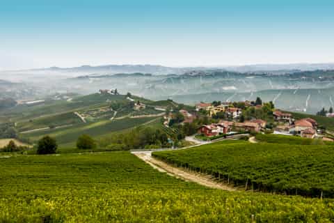langhe discover the wine country hills by bus