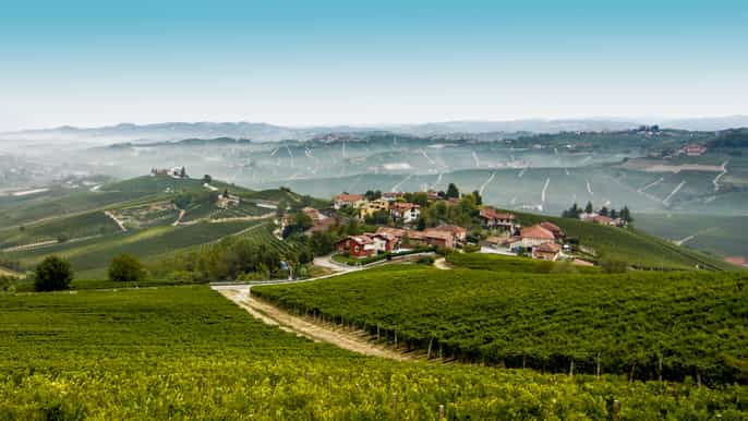 langhe discover the wine country hills by bus