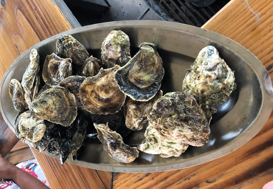 Oyster farm experience-private day trip from Dubrovnik | GetYourGuide