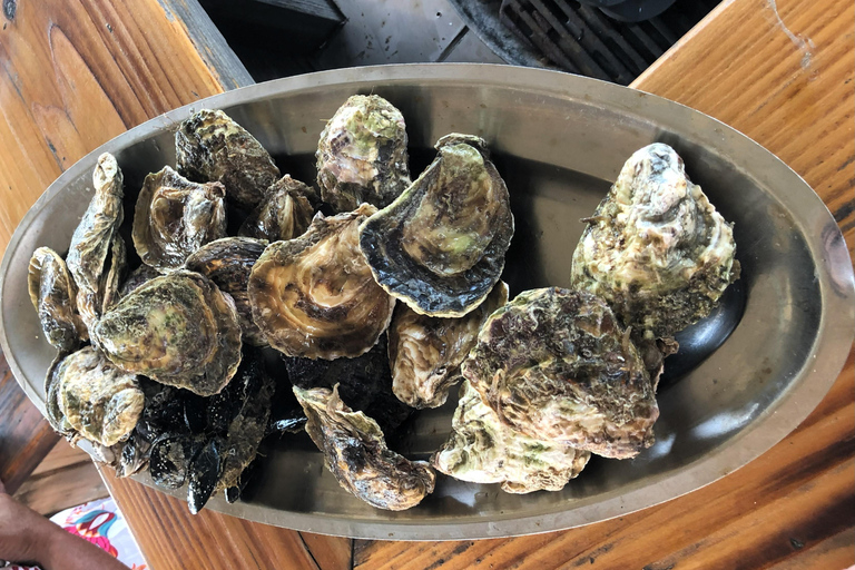 Oyster farm experience-private day trip from Dubrovnik