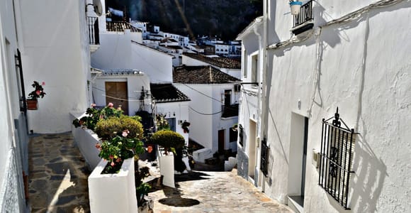 From Seville: Private White Villages & Ronda Day Trip