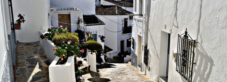 Depuis Séville : excursion privée d'une journée dans les villages blancs et à Ronda