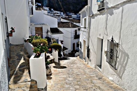 Au départ de Séville : Visite des villages blancsVisite privée