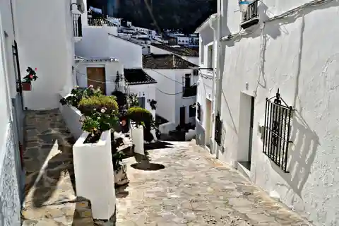 Fra Sevilla: Tur til de hvide landsbyer