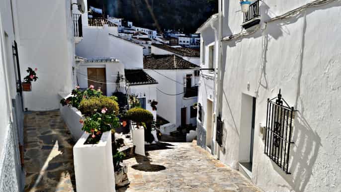 from seville white villages tour