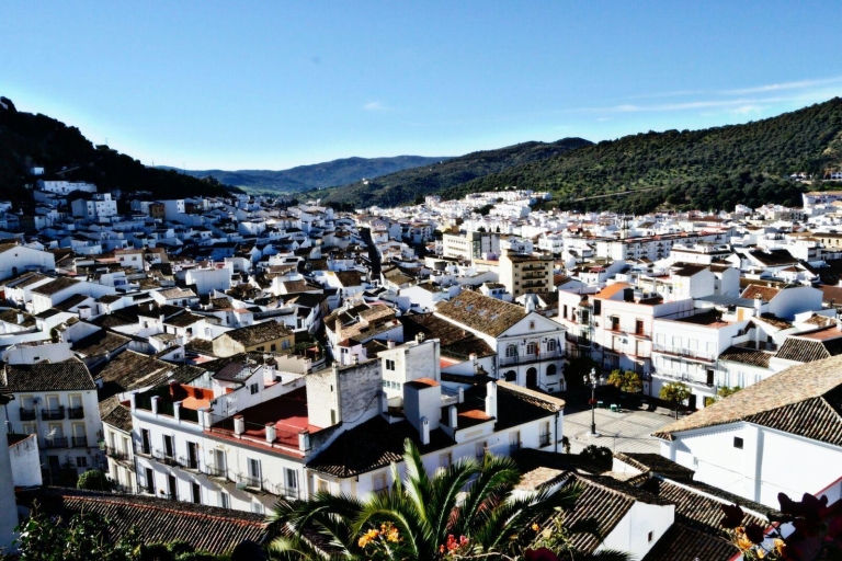 From Seville: White Villages Tour Private Tour