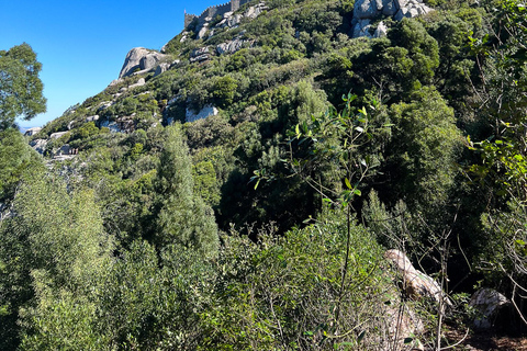 Sintra: Moorish Castle Guided Tour