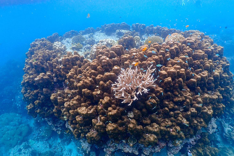 Z Phuket: wycieczka z rurką na wyspy SurinZ Phuket: wycieczka snorkelingowa na wyspy Surin