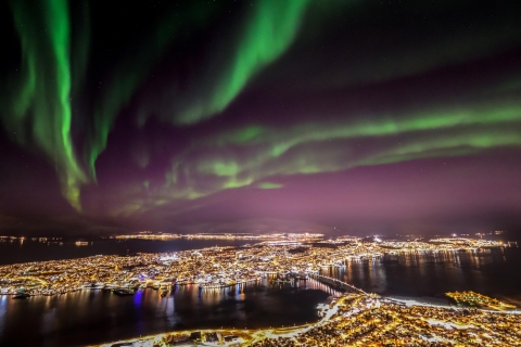 Tromsø: kabelbaanexcursie naar het Noorderlicht
