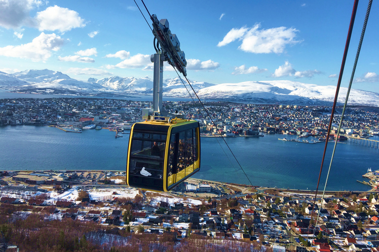 Tromsø: kabelbaanexcursie naar het Noorderlicht